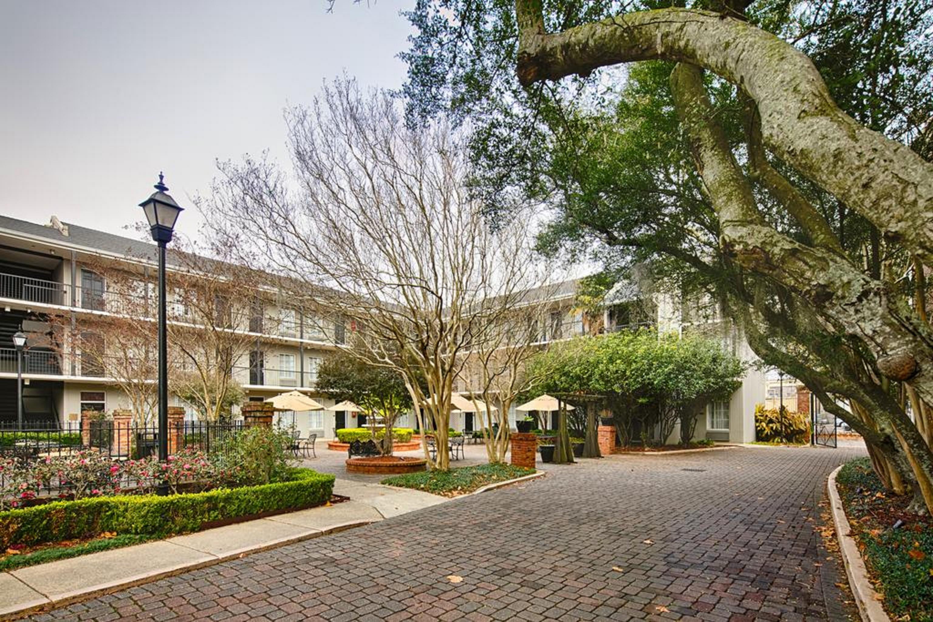Maison Saint Charles New Orleans Exterior photo